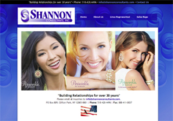 Shannon Consultants Redesigned Website