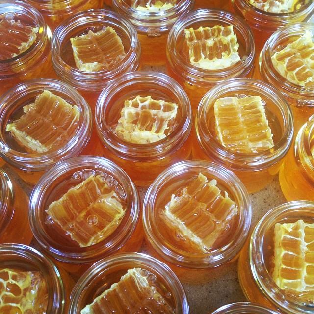 Honey and Honey Comb from Hawaii Bee Company in jars ready to be sealed for shipping.